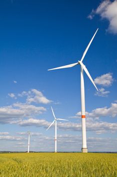 Windmills in a field of crop with blue sunny sky