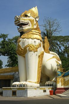 The beautiful chinthes are the guards of the Shwedagon Pagoda. Photo was taken in Yangon, Myanmar.