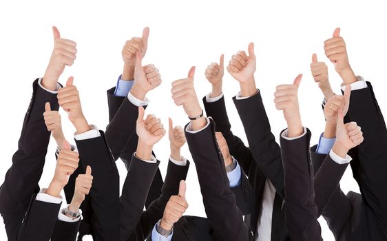 A bunch of raised hands of business people. Isolated on white