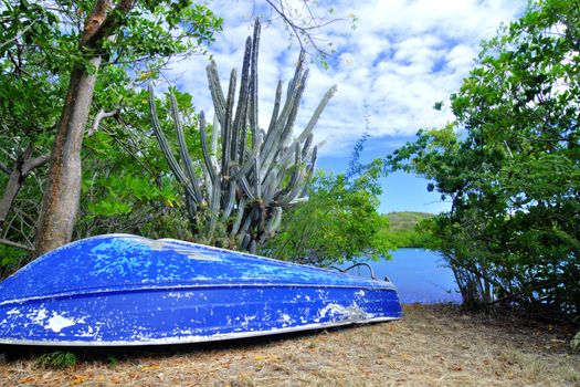 Small blue boat lies on grassy shore of tropical lagoon in Isla Culebra, Puerto Rico