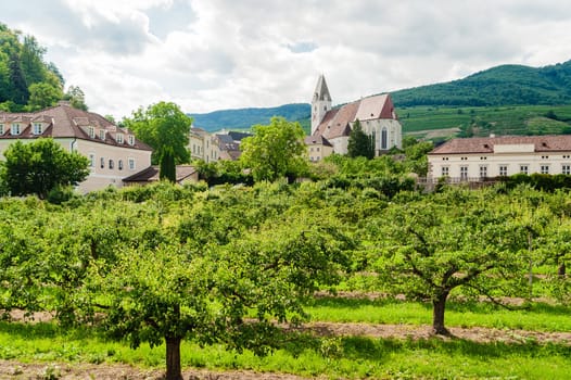 Village Spitz in Lower Austria, surrounded by Trees