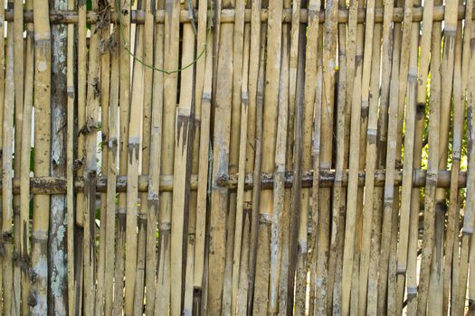 Bamboo fence