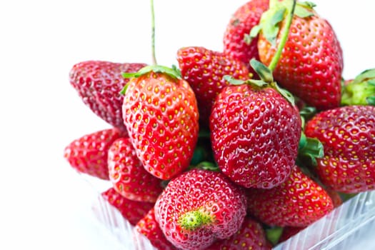 strawberries placed on a white background