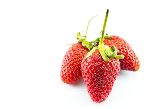 strawberries placed on a white background