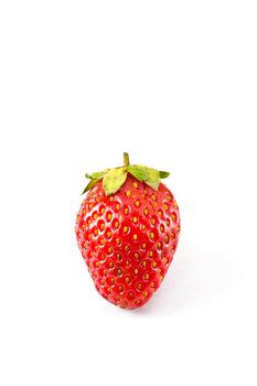 strawberries placed on a white background