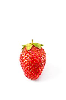 strawberries placed on a white background