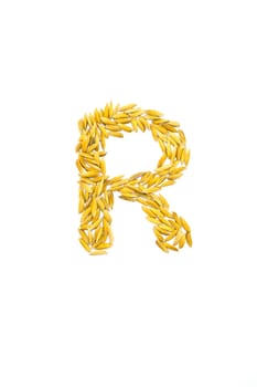 R letter of rice on a white background
