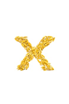 X letter of rice on a white background