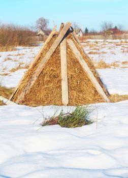 Haystack on the meadow near the village in the winter