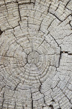  Wooden board with cracks as a natural background