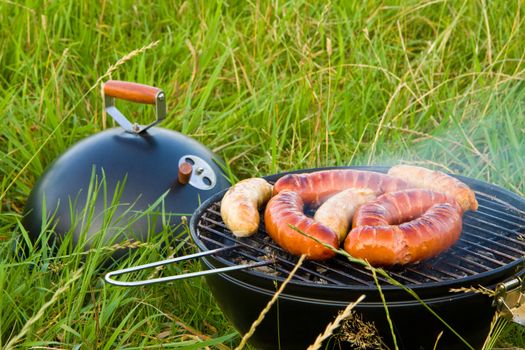 Grilled sausages, outdoor barbecue in green grass