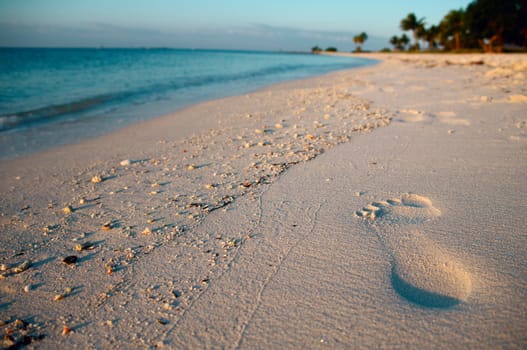 Footprint on sand of Sombrero Beach, Marathon Island, Florida Keys, USA.