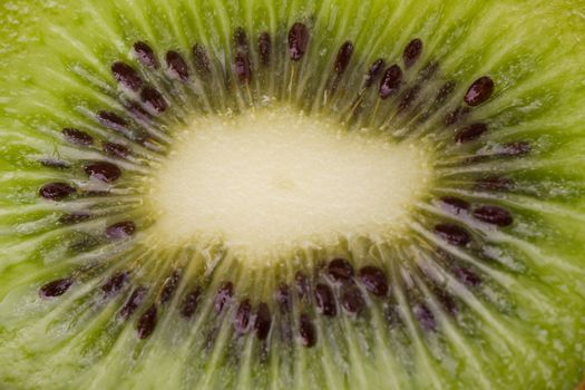 Fresh kiwi in detail - macro