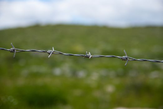 barbed wire on the background  green grass