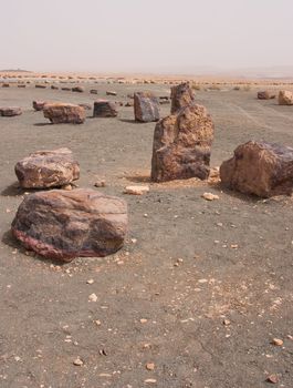 Stones in the Crater Mizpe Ramon - Negev desert, Israel