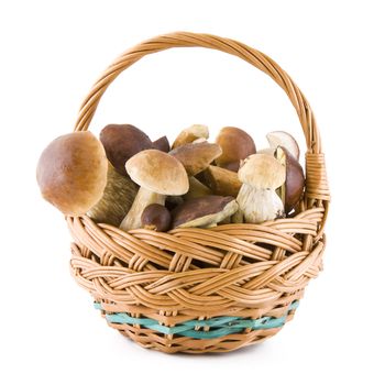 Boletus mushrooms in a wicker basket isolated on white background