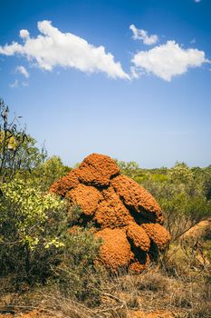 An image of a big termite hill in Australia