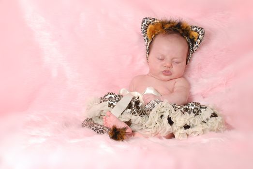 newborn baby dressed up like a cat on pink background - 2 months old