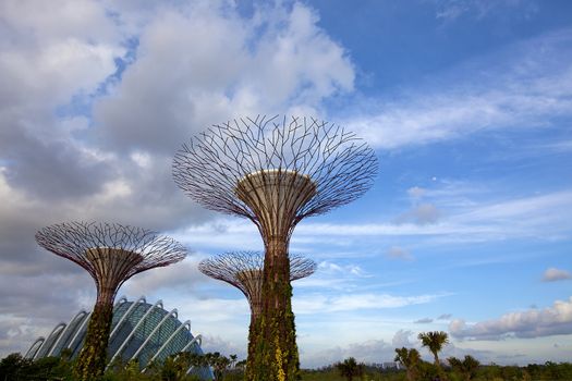 SINGAPORE - JANUARY 23: View of Supertree Grove at Gardens by the Bay on January 23, 2013 in Singapore. Spanning 250 acres of reclaimed land in central Singapore, adjacent to the Marina Reservoir.