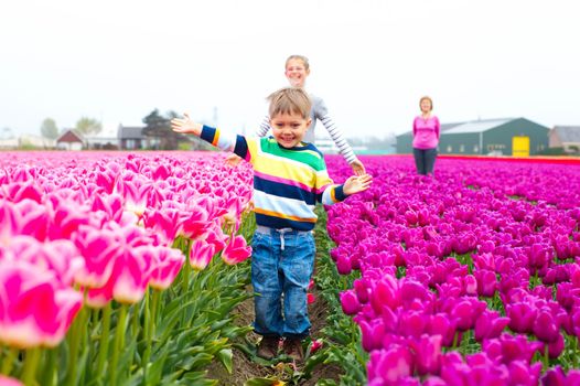 Boy with his sister and grandmother runs between of the purple tulips field