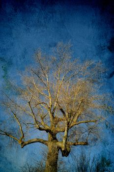 Abstract scary tree in blue.