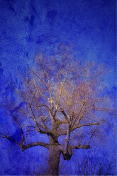Abstract tree in blue.
