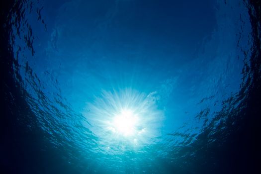 An underwater background looking up at the sun in crystal clear waters of the Caribbean.