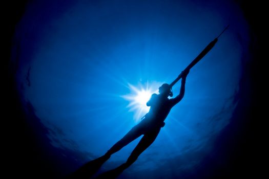 A lady spearfishing on The Great Barrier Reef in Australia