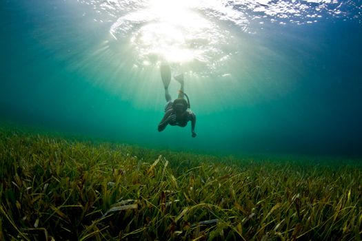 A Young woman dives down to explore the se grass bad in Honduras.