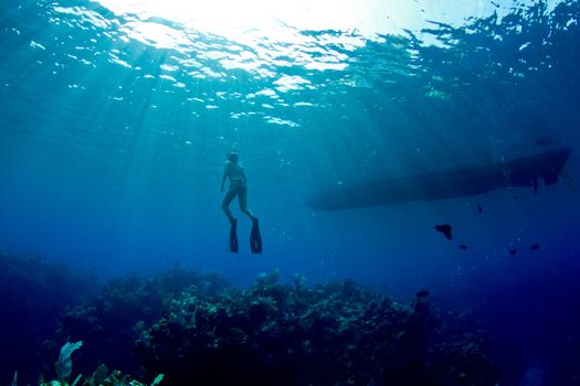 A young female freediver returns to the surface near her boat.