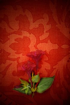 Flower background, passion red fabric