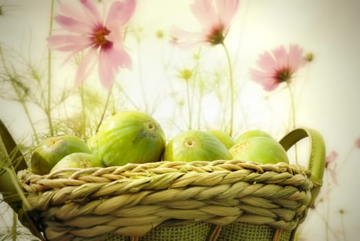basket of figs in the garden of daisies