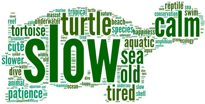 Turtle shaped tag cloud with green words on a white background