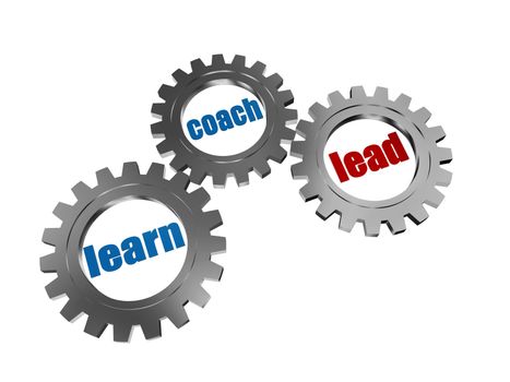 learn, coach and lead - words in 3d silver grey gearwheels, business concept
