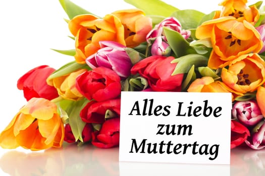 Bunch of tulips with card: Happy Mother's Day