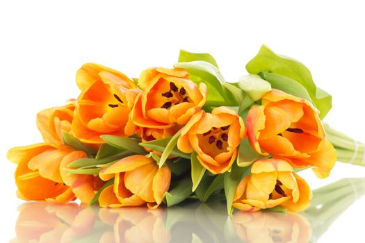 Bunch of tulips