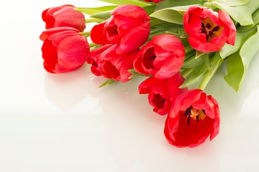 Bunch of tulips