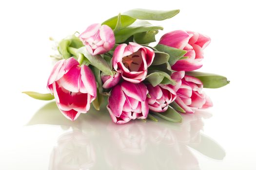 Bunch of tulips