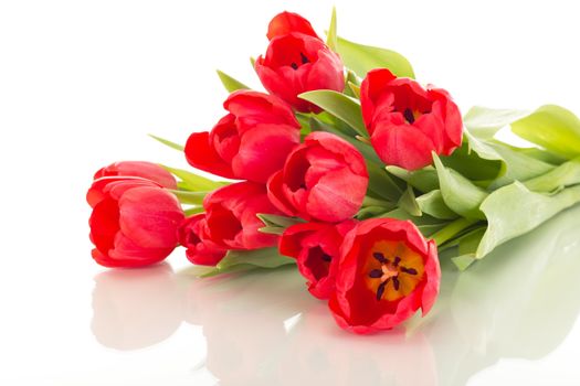 Bunch of tulips