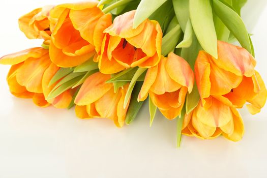Bunch of tulips