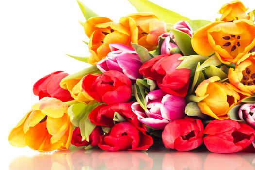 Bunch of tulips