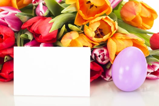 Bunch of tulips with easter egg and card