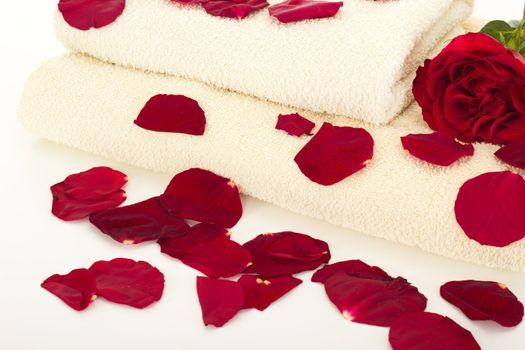 Wellness decoration