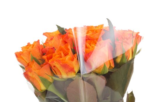 Bunch of roses