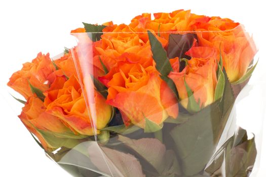 Bunch of roses