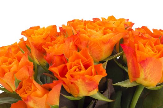 Bunch of roses