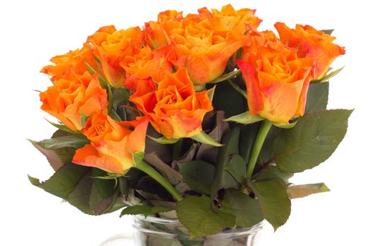 Bunch of roses