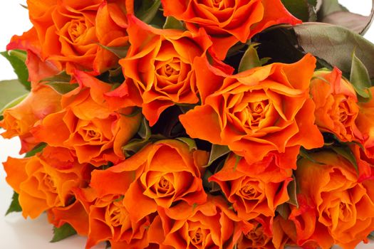 Bunch of roses