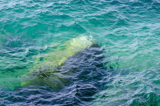 Rock under clear water at shore of Georgian Bay of Lake Huron Ontario