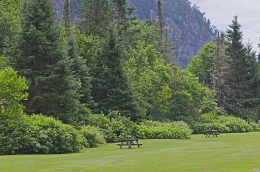 Barbecue tables on green grass under rocky cliff.